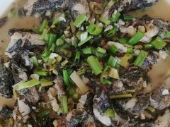 -领鲜土菜馆
