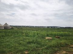 -九城宫草原漫瀚文化旅游区