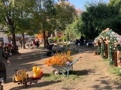 -HERRE·FARM 赫尔露营农场·团建聚会包场