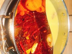 -青瓷火锅料理(西单大悦城店)