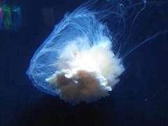 -石林冰雪海洋世界