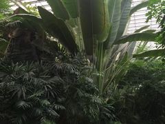 -龙达温泉生态城