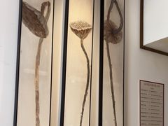 -沐善人家中医·推拿·理疗·三伏灸(新洲店)