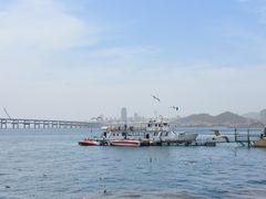 -星海广场