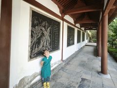 -西安青龙寺遗址景区