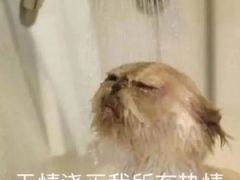 -永和大王(龙德广场店)