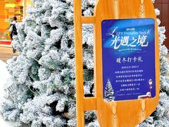 -大悦城(沈阳中街店)