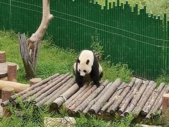 -沈阳森林动物园