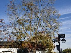 -南通濠河风景名胜区