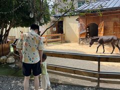 -HERRE·FARM 赫尔露营农场·团建聚会包场