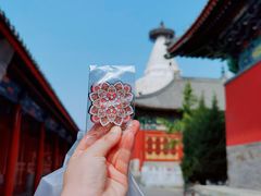 -妙应寺白塔