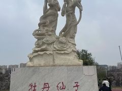 -曹州牡丹园