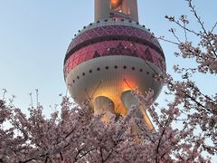 -东方明珠广播电视塔