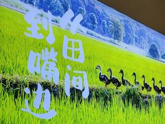 -杨厨的田园饭店(长城路店)