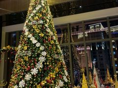 -三迪希尔顿酒店·星空酒廊