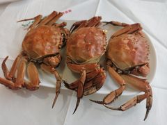 -佳客来牛排火锅自助(正义坊店)