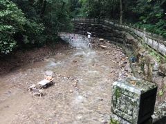 -江西阳明山国家森林公园