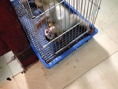 -原巷口鱼丸店(龙头路外卖店)