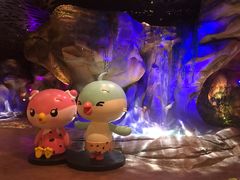 -杭州开元森泊度假乐园