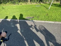 -昆山城市生态森林公园