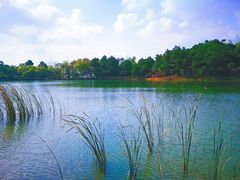 -南京市无想山景区