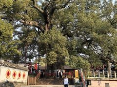 -新安江山水画廊风景区