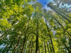 -东坡赤壁风景名胜区