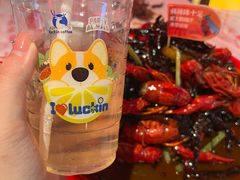 -红钳侠小龙虾·烧烤(中赢康康谷店)