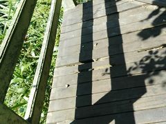 -四会奇石河风景区