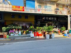 -溪岸路花鸟市场