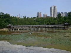 -龙头寺公园