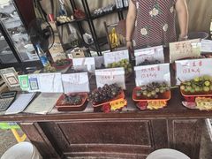 -马陆小张葡萄园农家乐