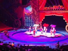 -珠海横琴长隆《卡卡虎奇遇记》