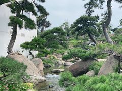 -罗红摄影艺术馆