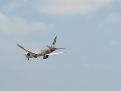 -空港花田景区