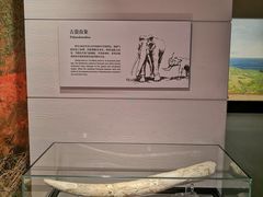 -烟台市博物馆