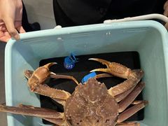-东海怡品海鲜豆捞(舟宿夜江店)
