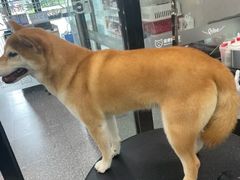 -宠物家(长阳店)