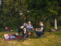 -铁山坪森林公园