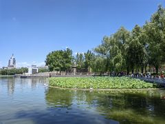 -莲花池公园