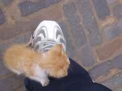 DSCI3241-榆次老城