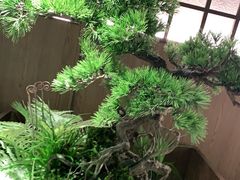 -湘邻呷铺·田园家宴(汉基广场店)