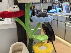 -鹰巢数码·EAGLE’S NEST(SKP店)