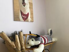 -Husky Go! 哈士奇体验馆·宠物咖啡厅狗咖