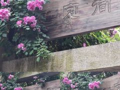 -芥子园
