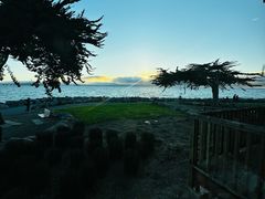 -香港东海海鲜酒家