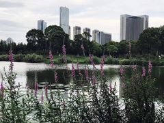 -艾溪湖湿地公园