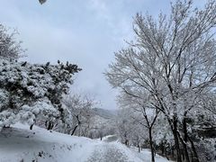 -北京西山国家森林公园