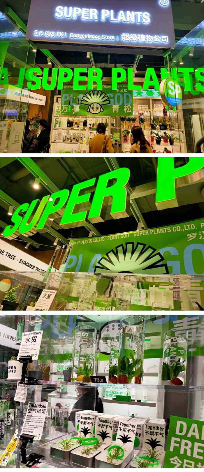 超级植物公司