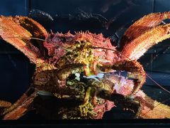 -同济大学四平路校区深海探索馆